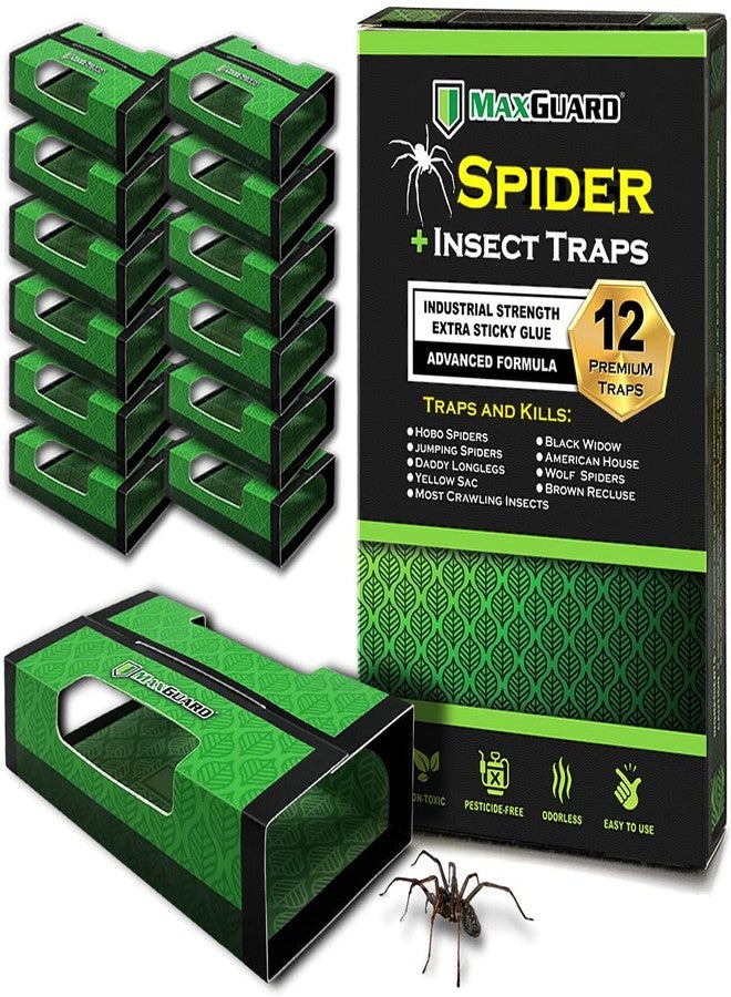 MaxGuard Spider + Insect Traps (12 pcs Box Trap) | Non-Toxic Extra Sticky Glue Traps, Kill Black Widow Hobo Brown Recluse Spiders and Other Crawling Bugs & Insects | - Image 1